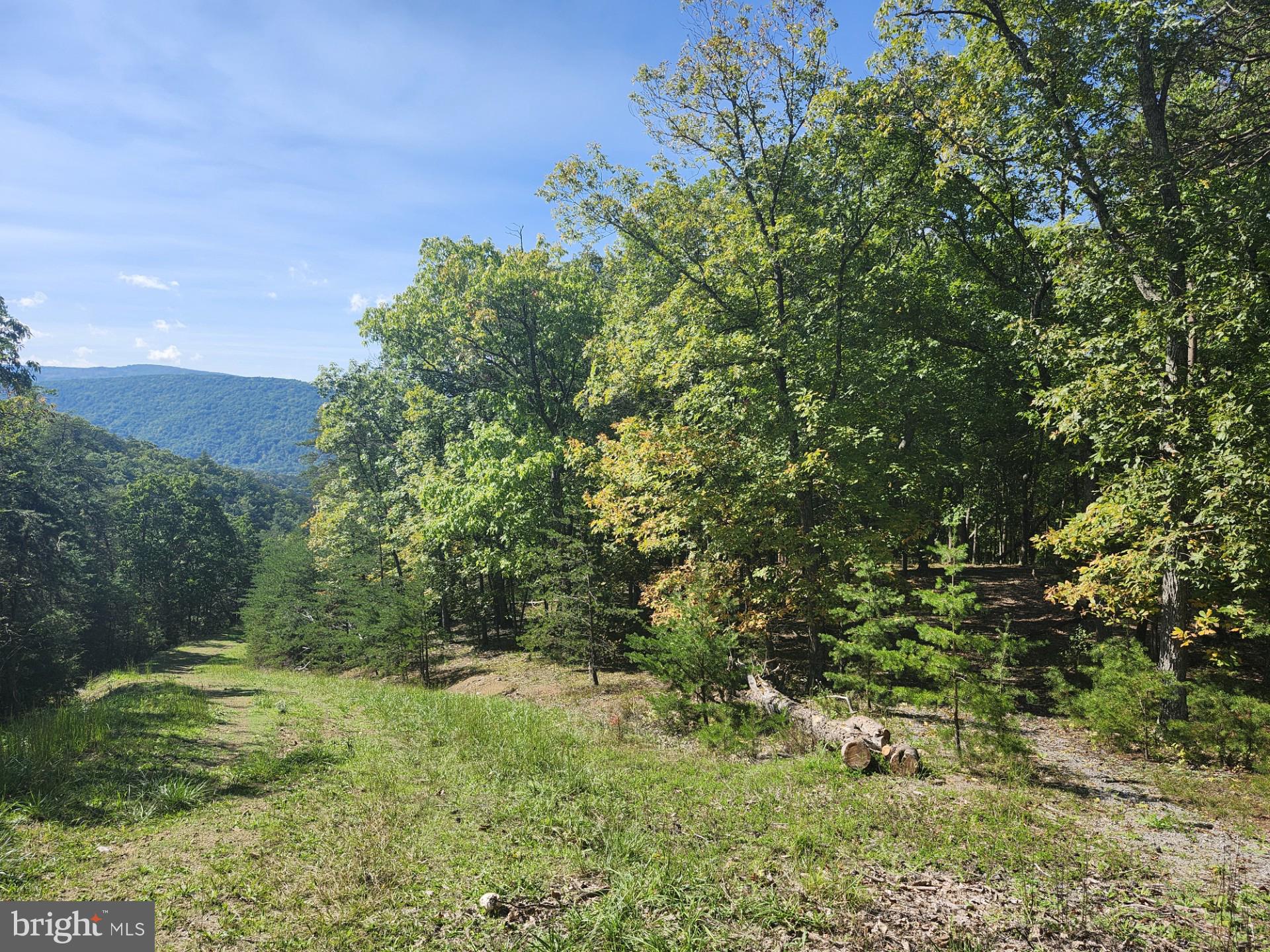 POTOMAC VALLEY OVERLOOK - Land