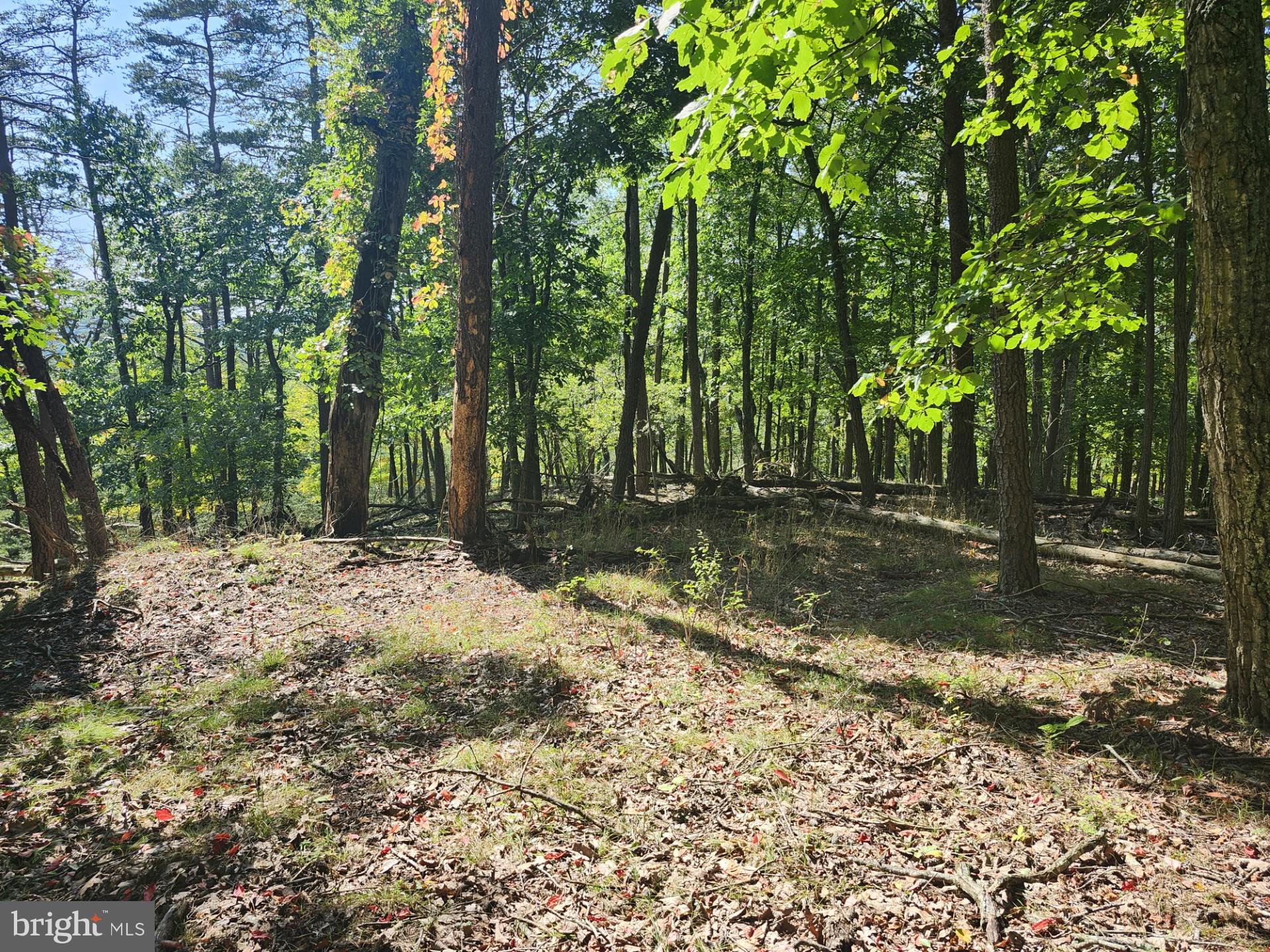 POTOMAC VALLEY OVERLOOK - Land
