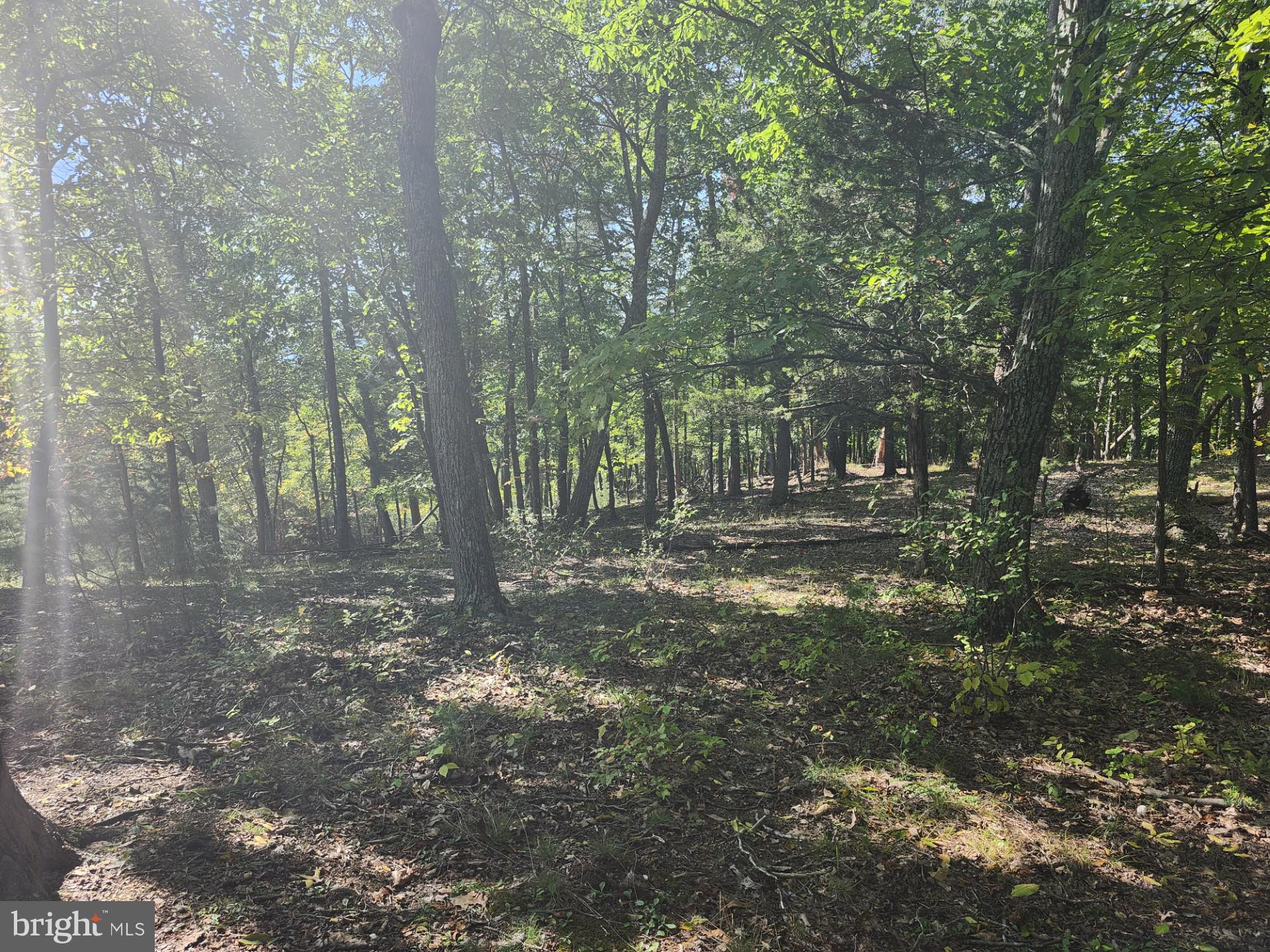 POTOMAC VALLEY OVERLOOK - Land