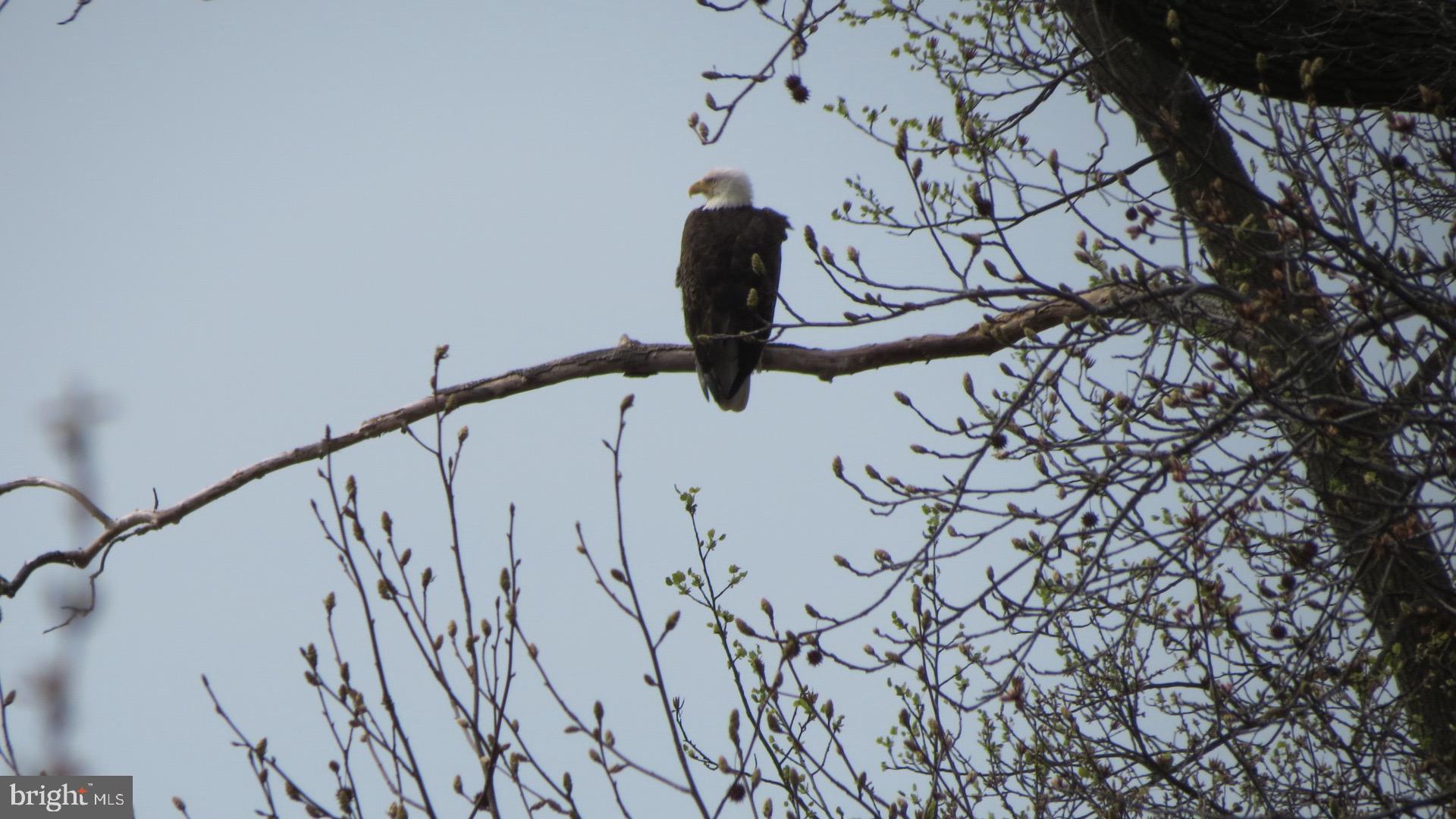 NORTH EAST ISLES - Residential
