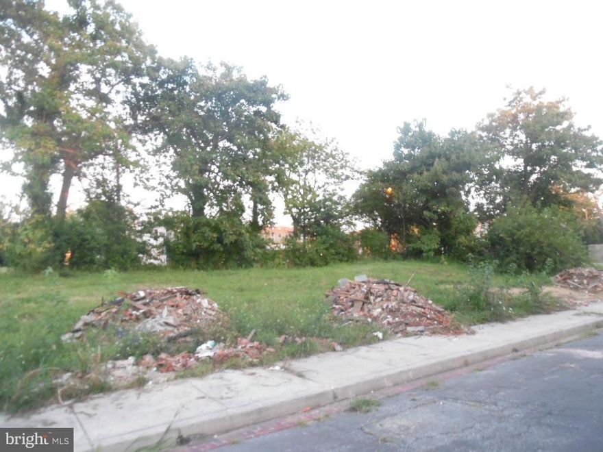 Wonderful opportunity to own this all wonderful lot/land in the Oliver neighborhood! Enjoy a quiet street and a location that is just waiting for you to build your dream. Don't miss this great opportunity! Just minutes from Downtown Baltimore!