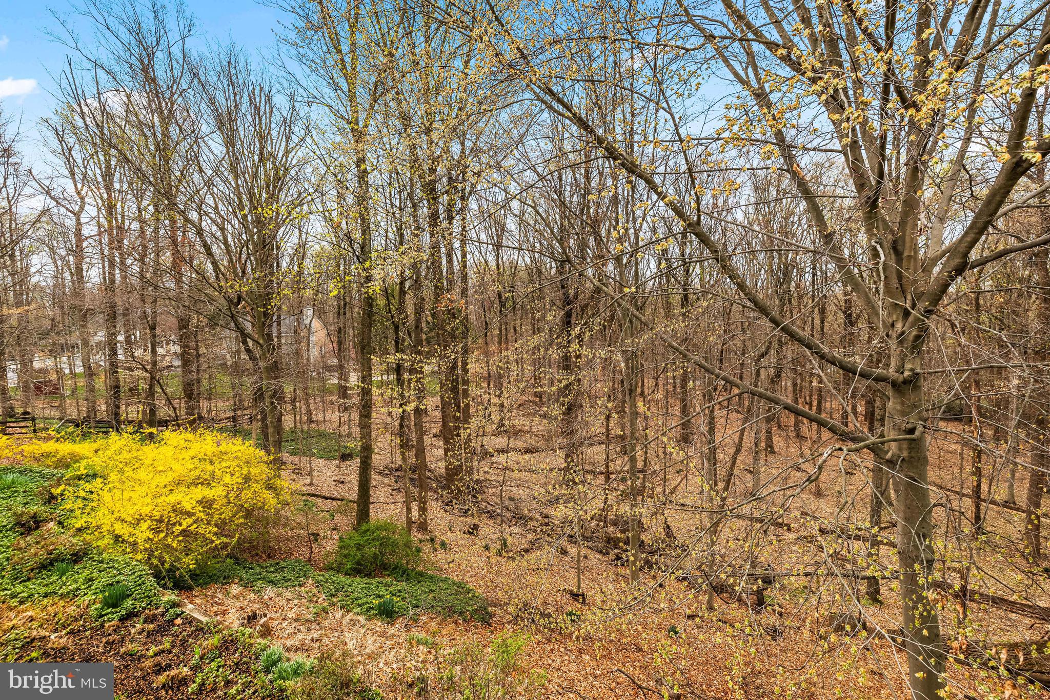 HAMPTON - Residential