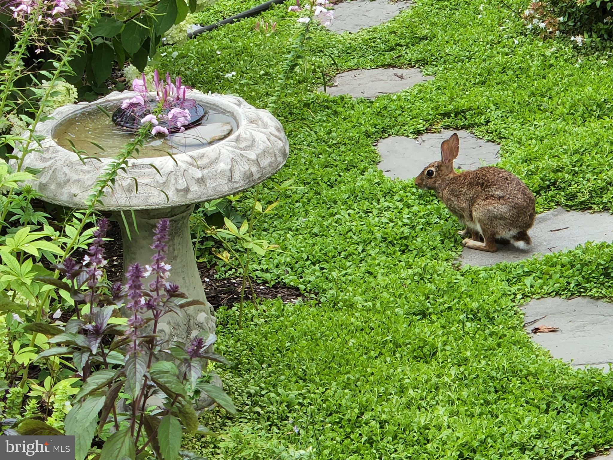 EASTON VILLAGE - Residential