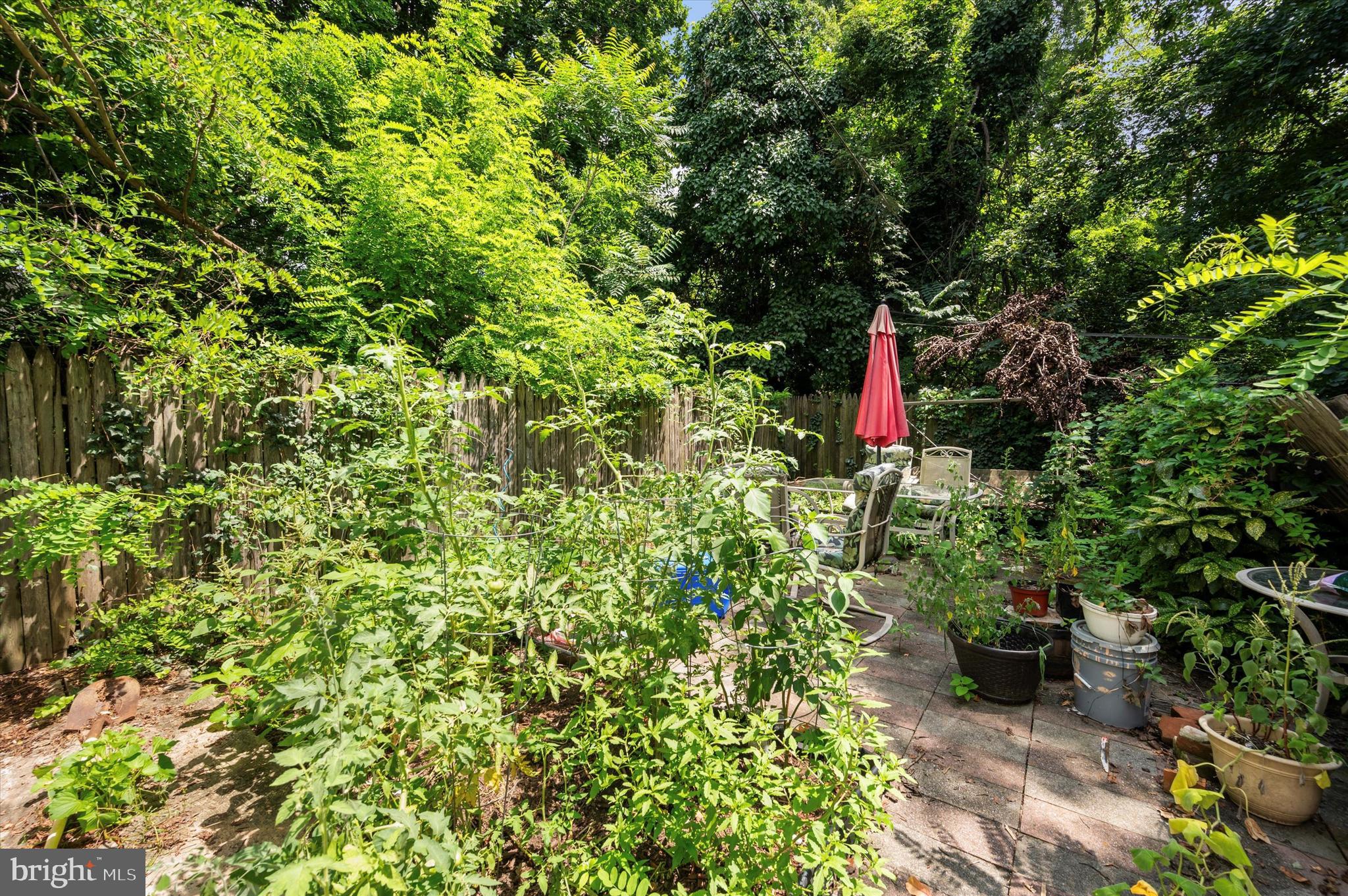 GERMANTOWN - Residential