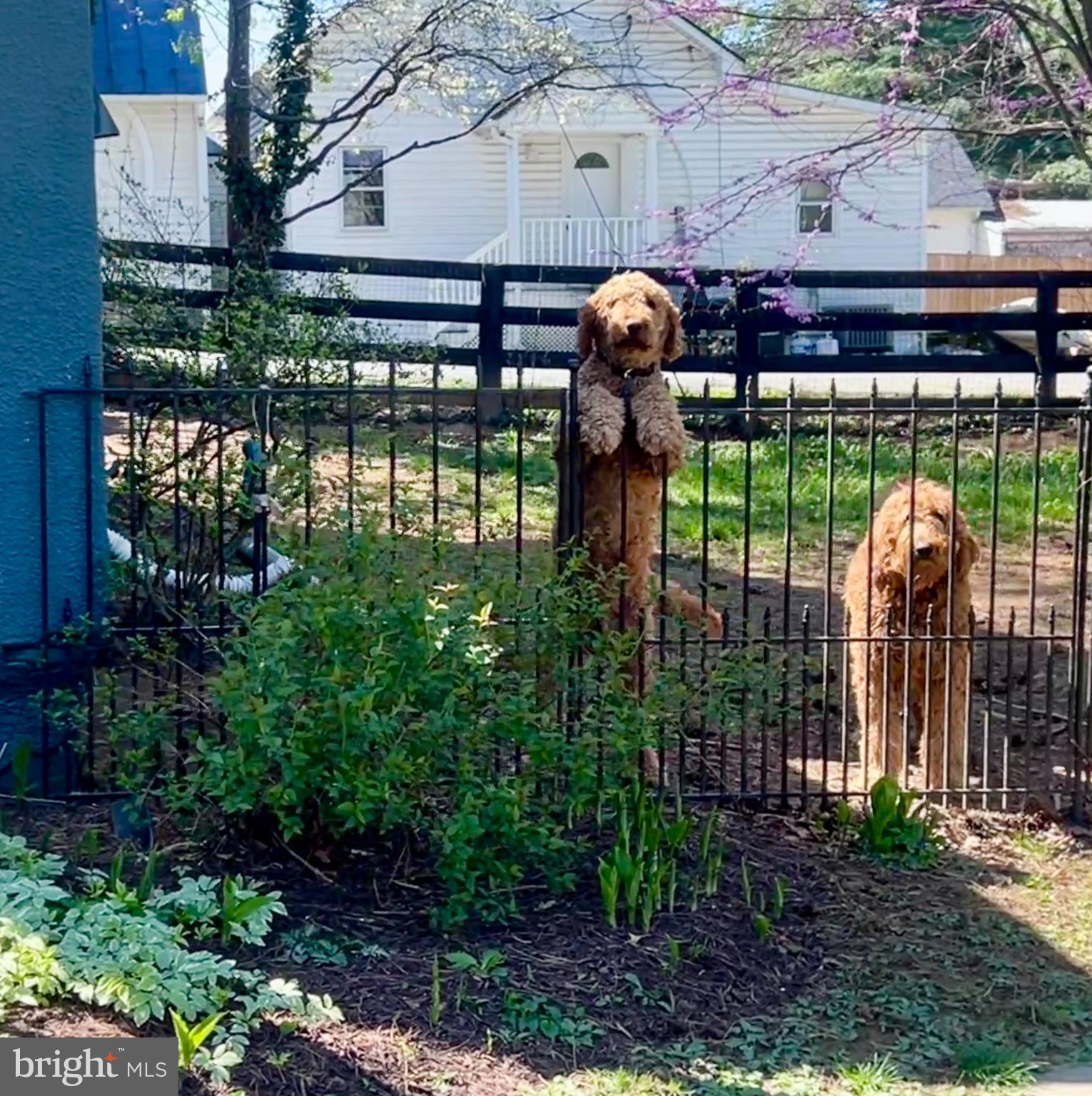 ROUND HILL - Residential