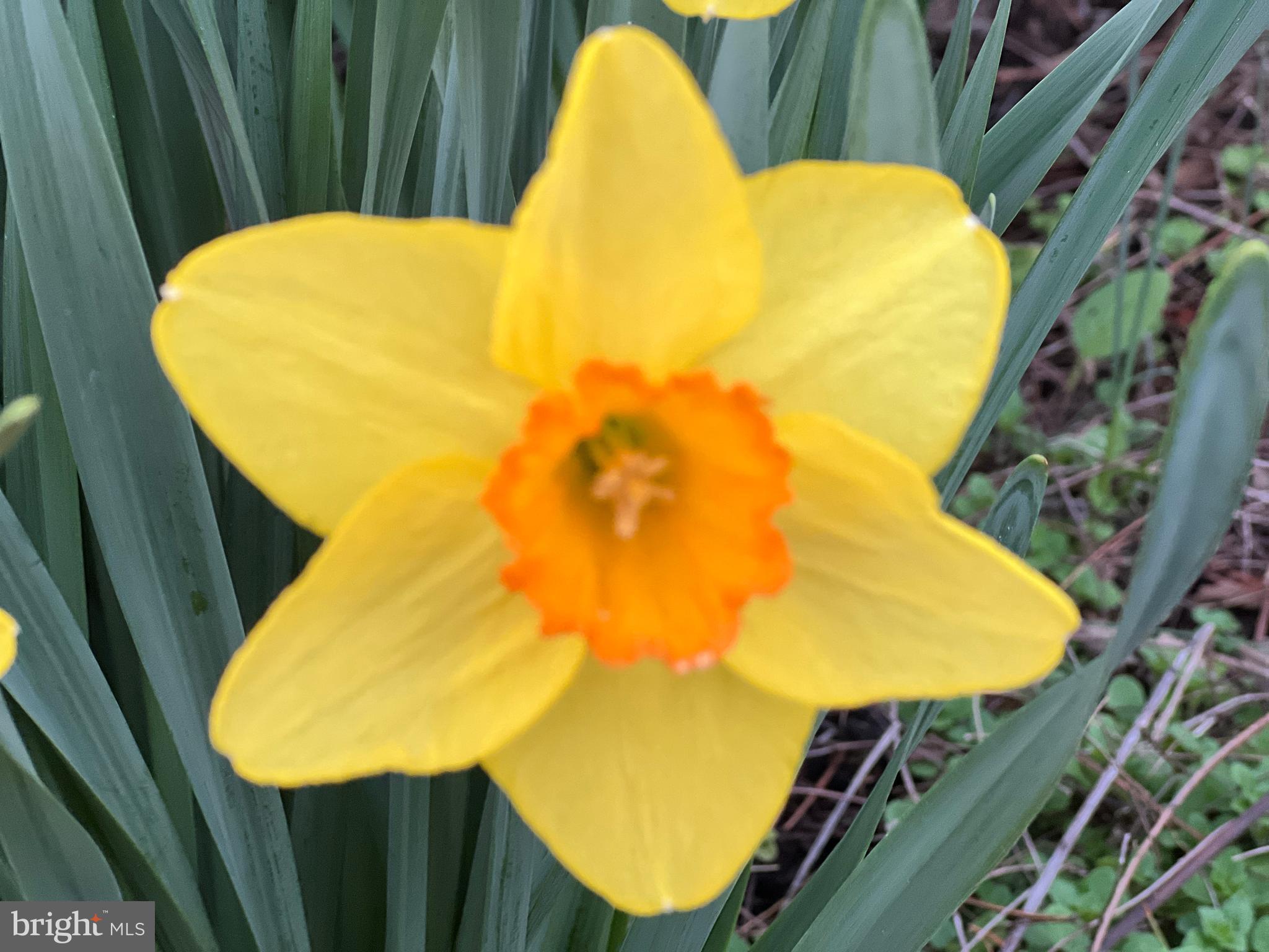 ROUND HILL - Residential