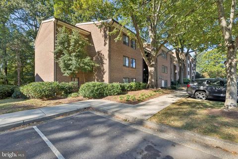 1413 NORTHGATE SQUARE 13/12B RESTON VA 20190