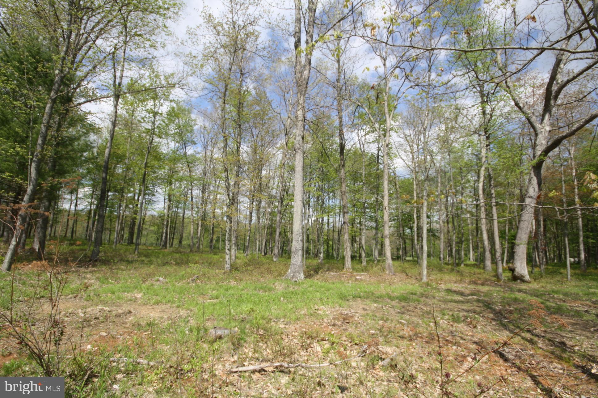 THOUSAND ACRES - Land