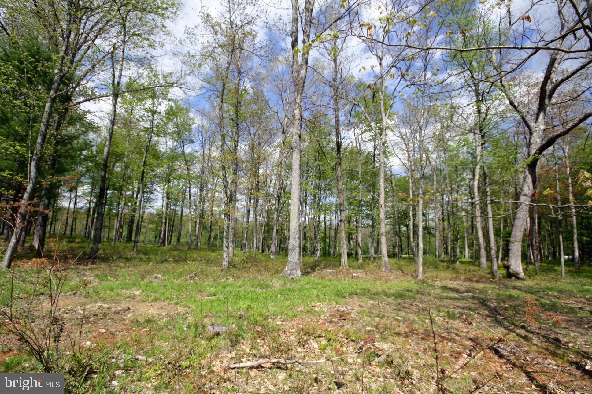 THOUSAND ACRES - Land