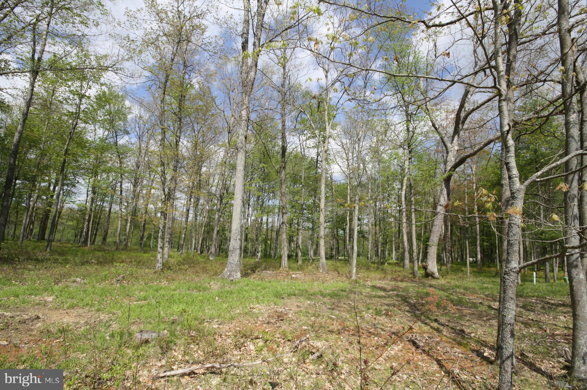 THOUSAND ACRES - Land