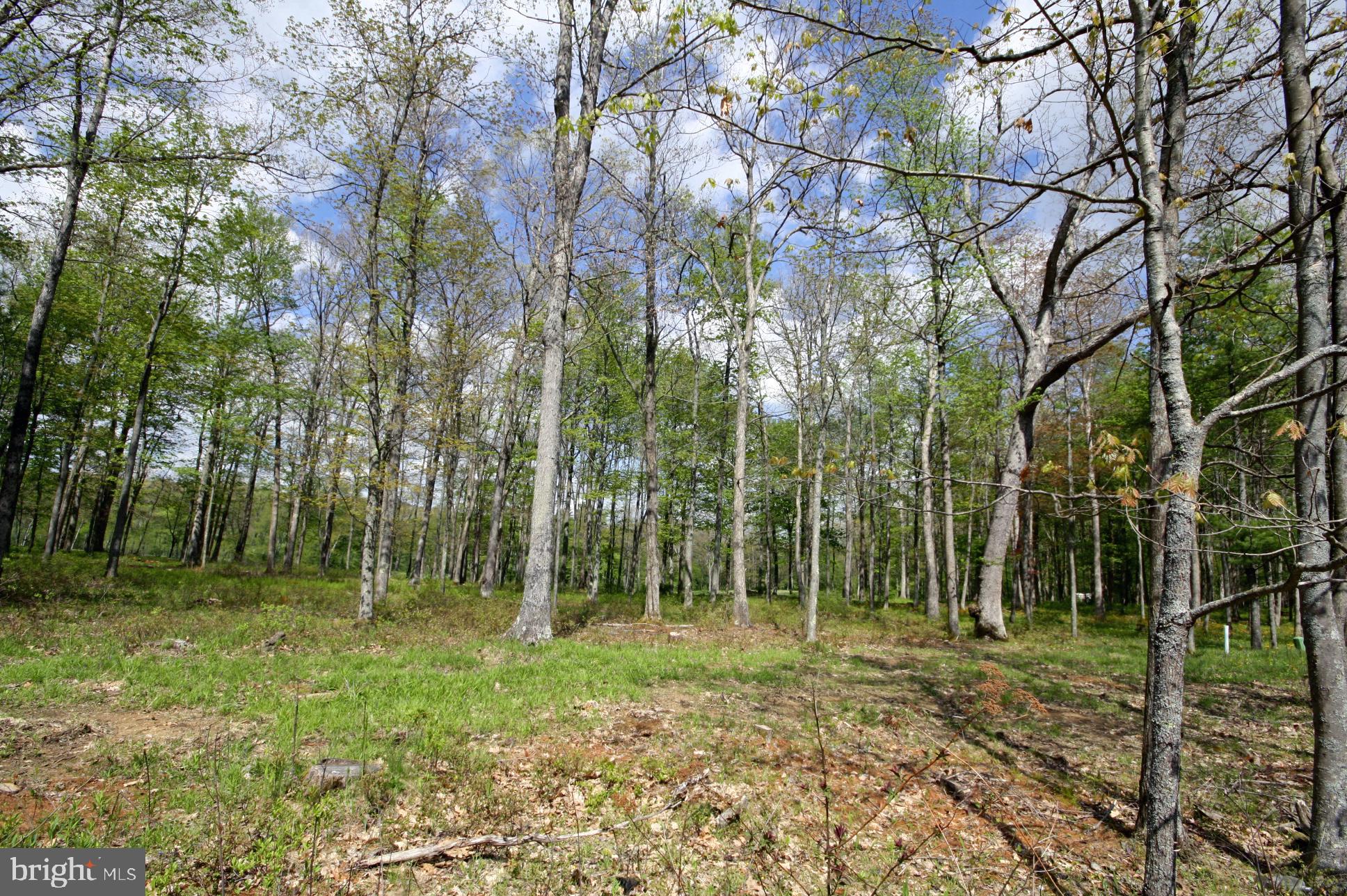 THOUSAND ACRES - Land