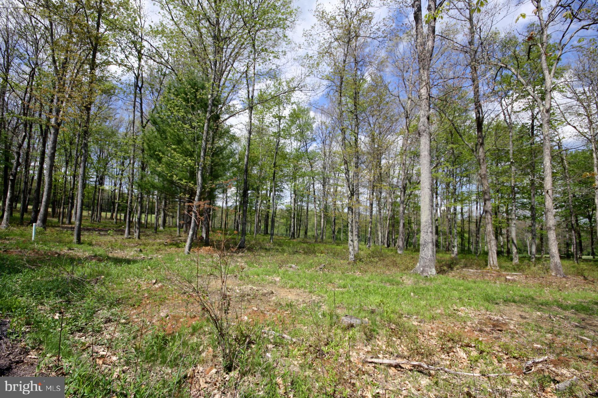 THOUSAND ACRES - Land