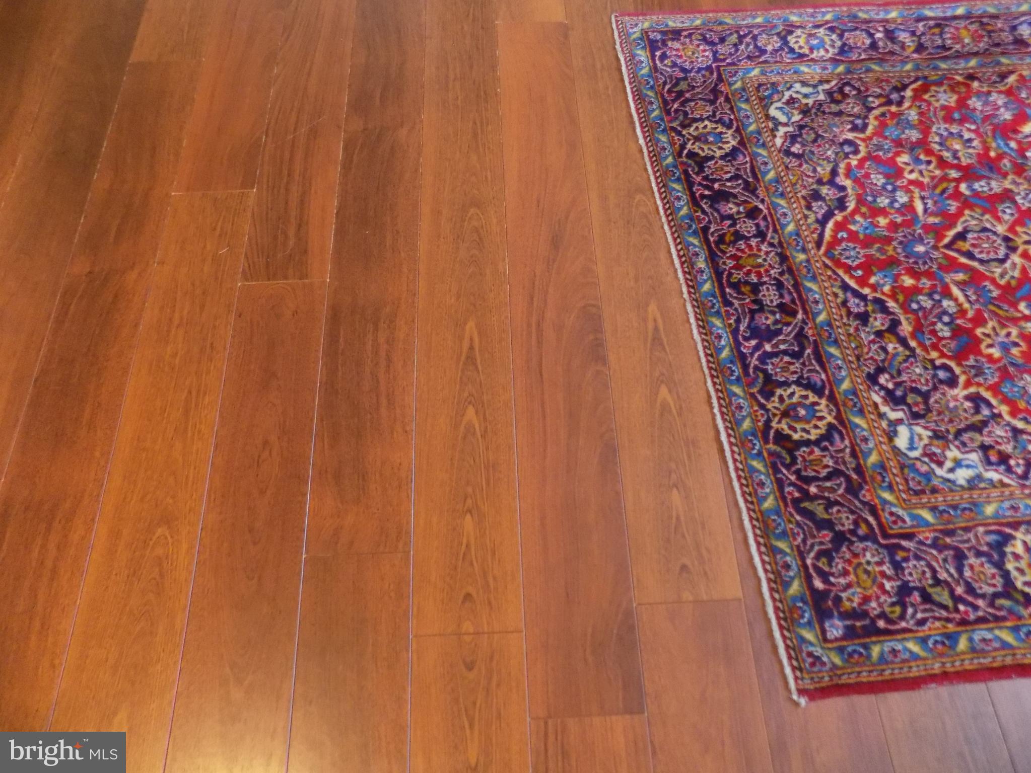 NEWINGTON FOREST - Residential Lease