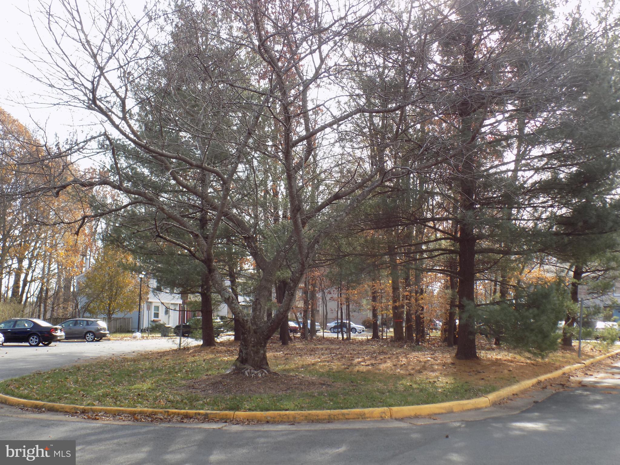 NEWINGTON FOREST - Residential Lease