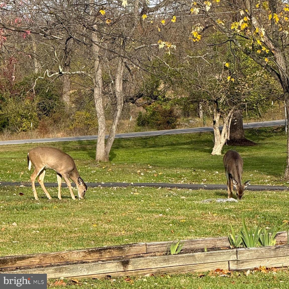 3622 SUMMIT POINT ROAD