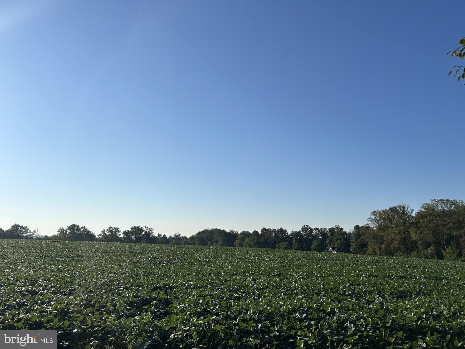 MY LADY'S MANOR - Farm