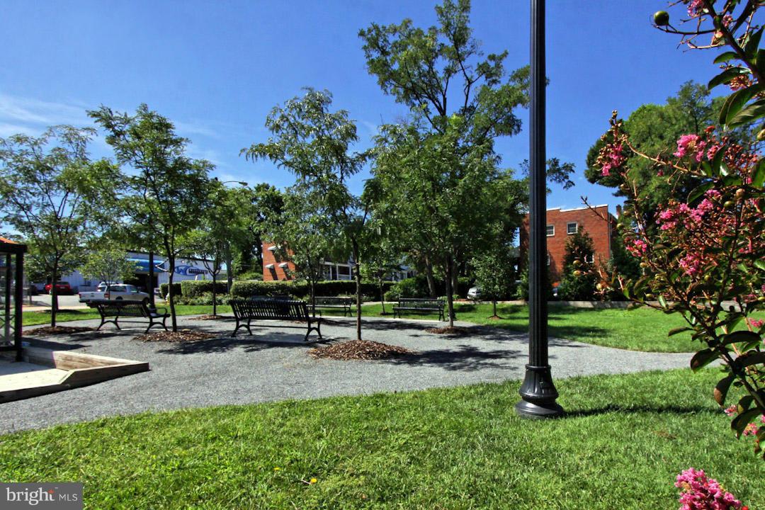 PRESTON - Residential Lease