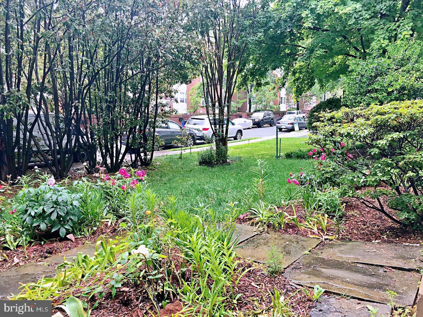 BALLSTON - Residential Lease