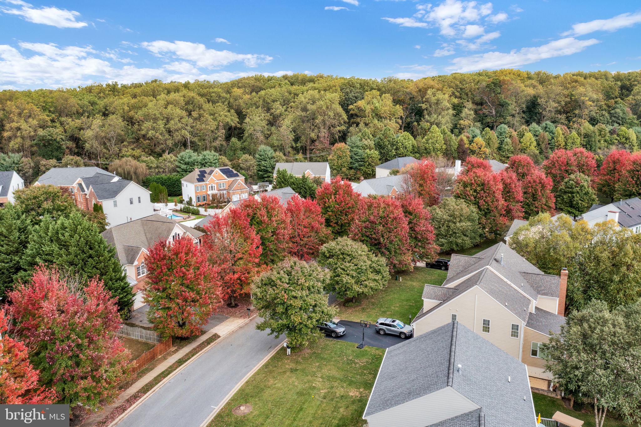 GROVEMONT - Residential