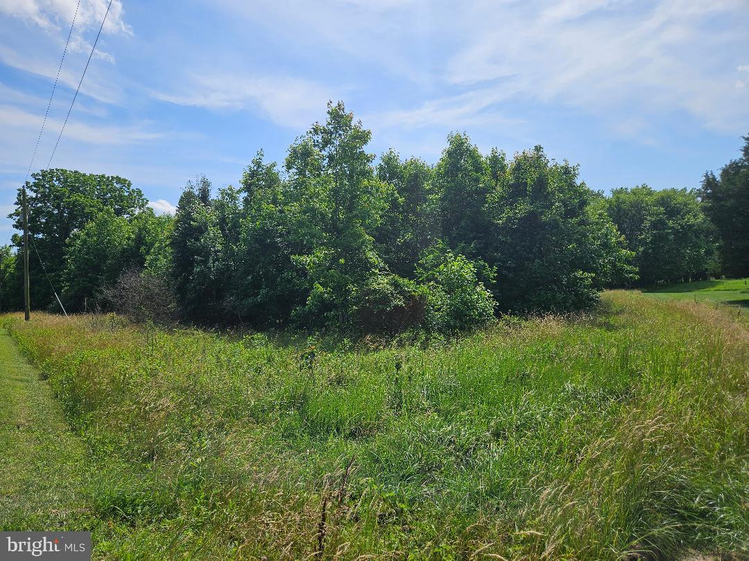 Vacant land along the Johnsontown Rd, Chestertown, MD.