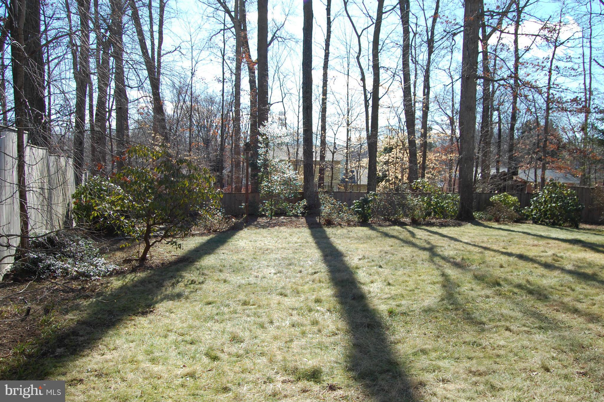 WEST SPRINGFIELD VILLAGE - Residential Lease