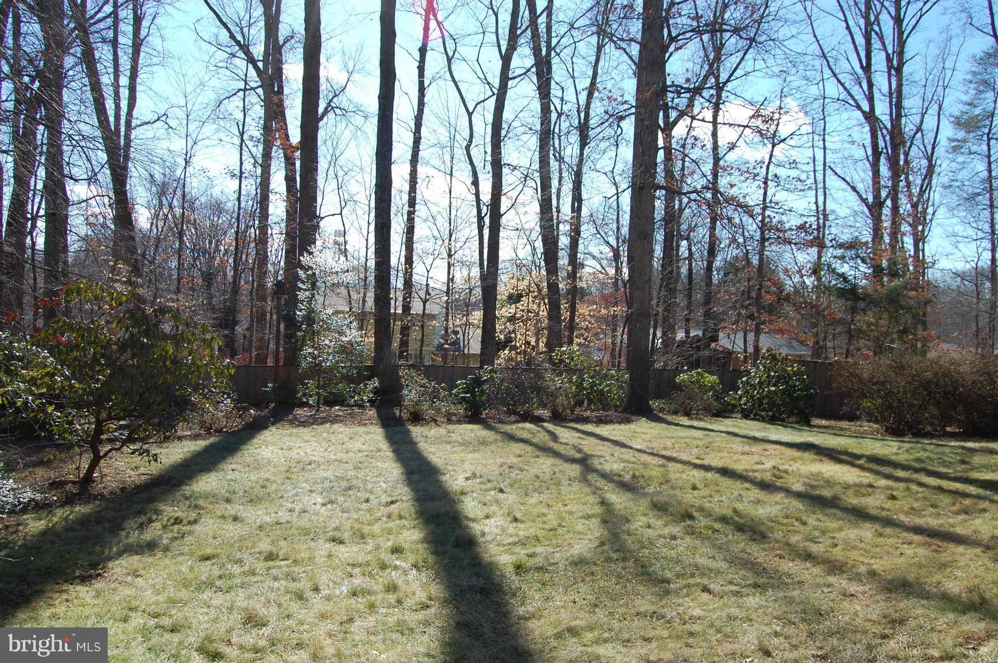 WEST SPRINGFIELD VILLAGE - Residential Lease