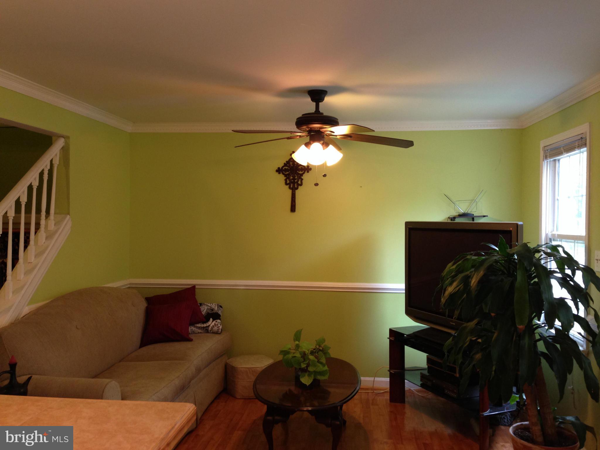 GREENWICH HILL - Farm