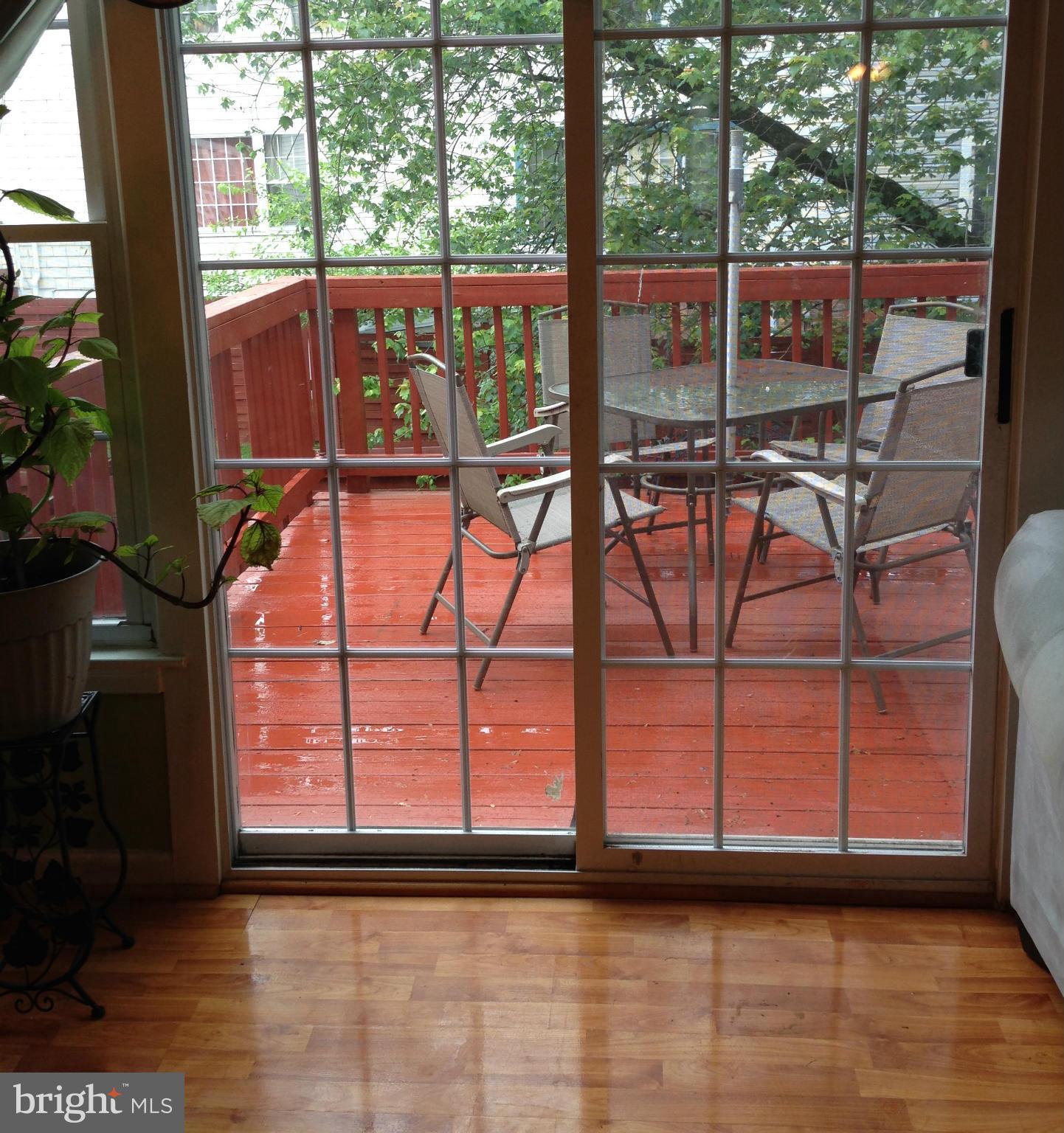 GREENWICH HILL - Farm