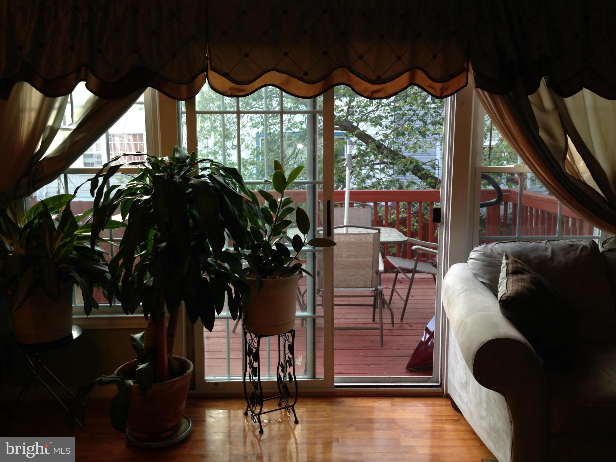 GREENWICH HILL - Farm