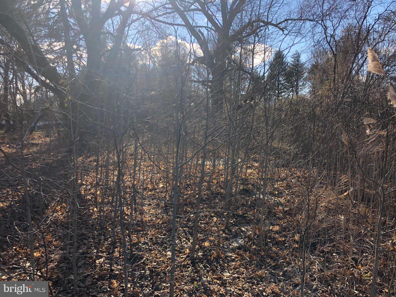 167 ROBBINSVILLE ALLENTOWN ROAD