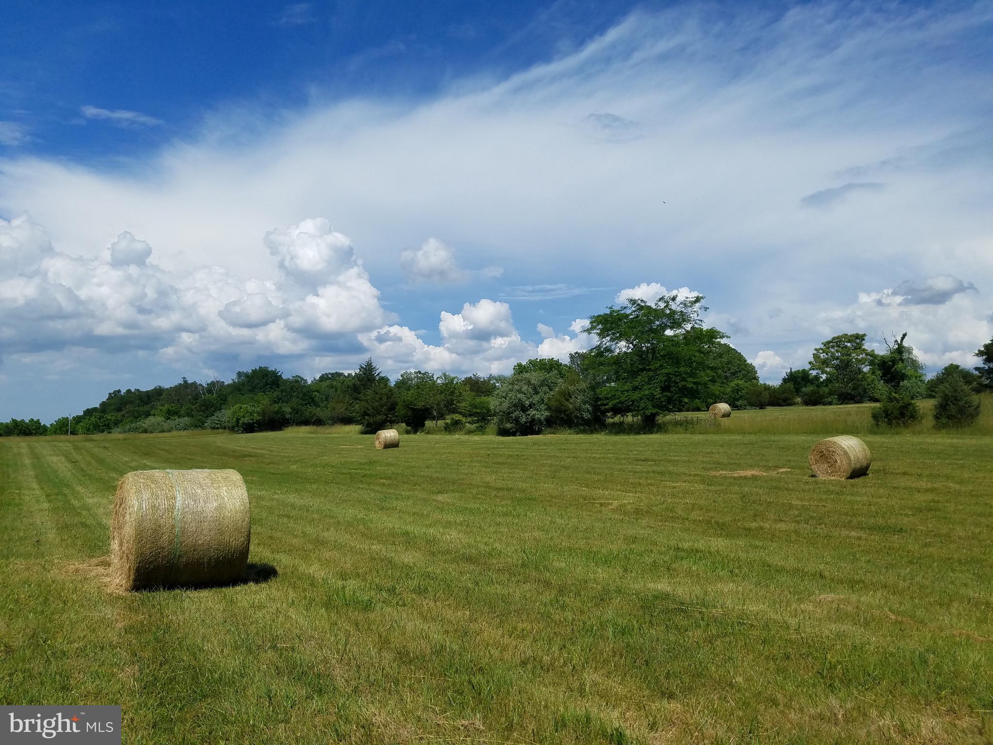 274 WADESVILLE ROAD