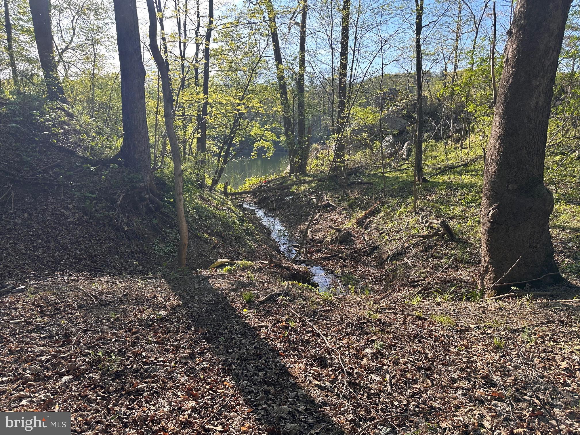 CROSSINGS ON THE POTOMAC - Residential