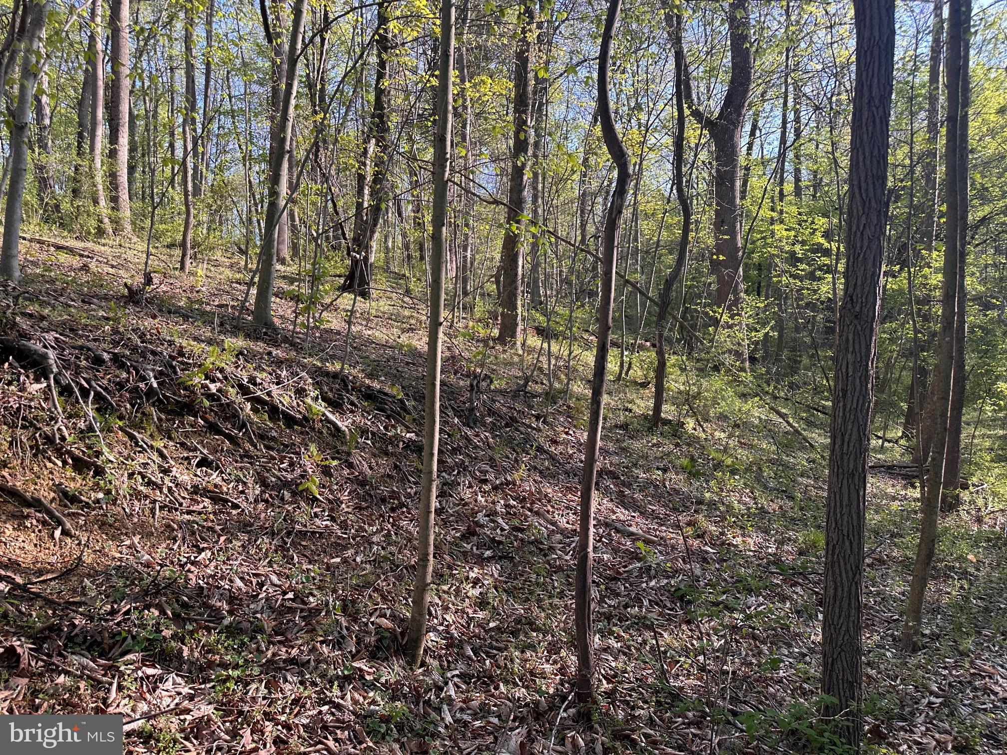 CROSSINGS ON THE POTOMAC - Residential