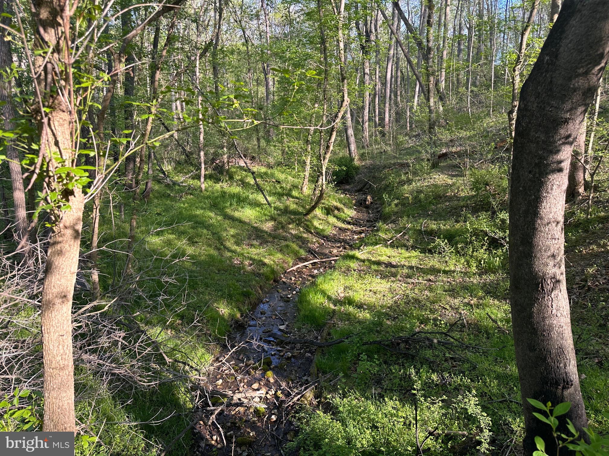 CROSSINGS ON THE POTOMAC - Residential