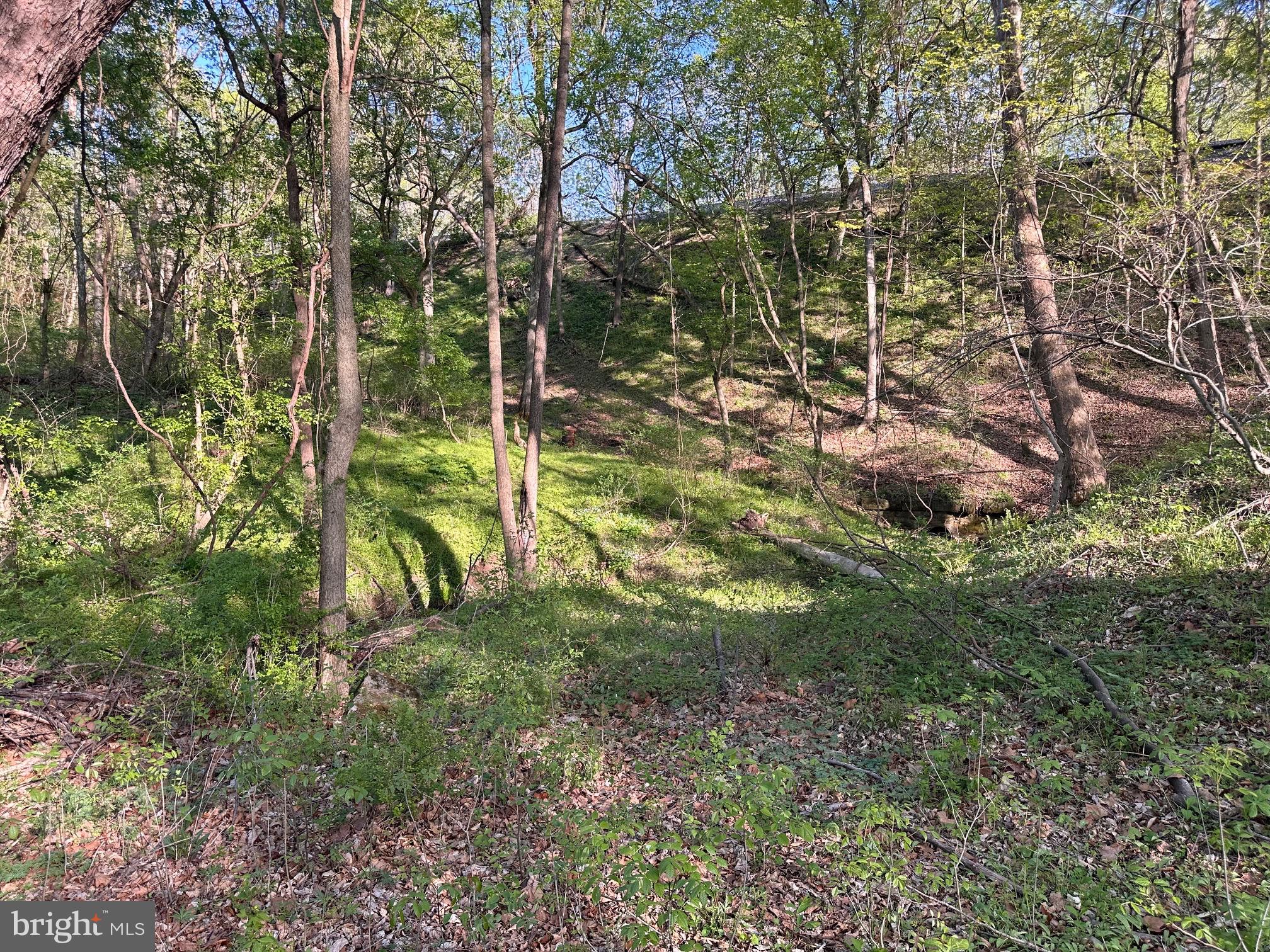 CROSSINGS ON THE POTOMAC - Residential
