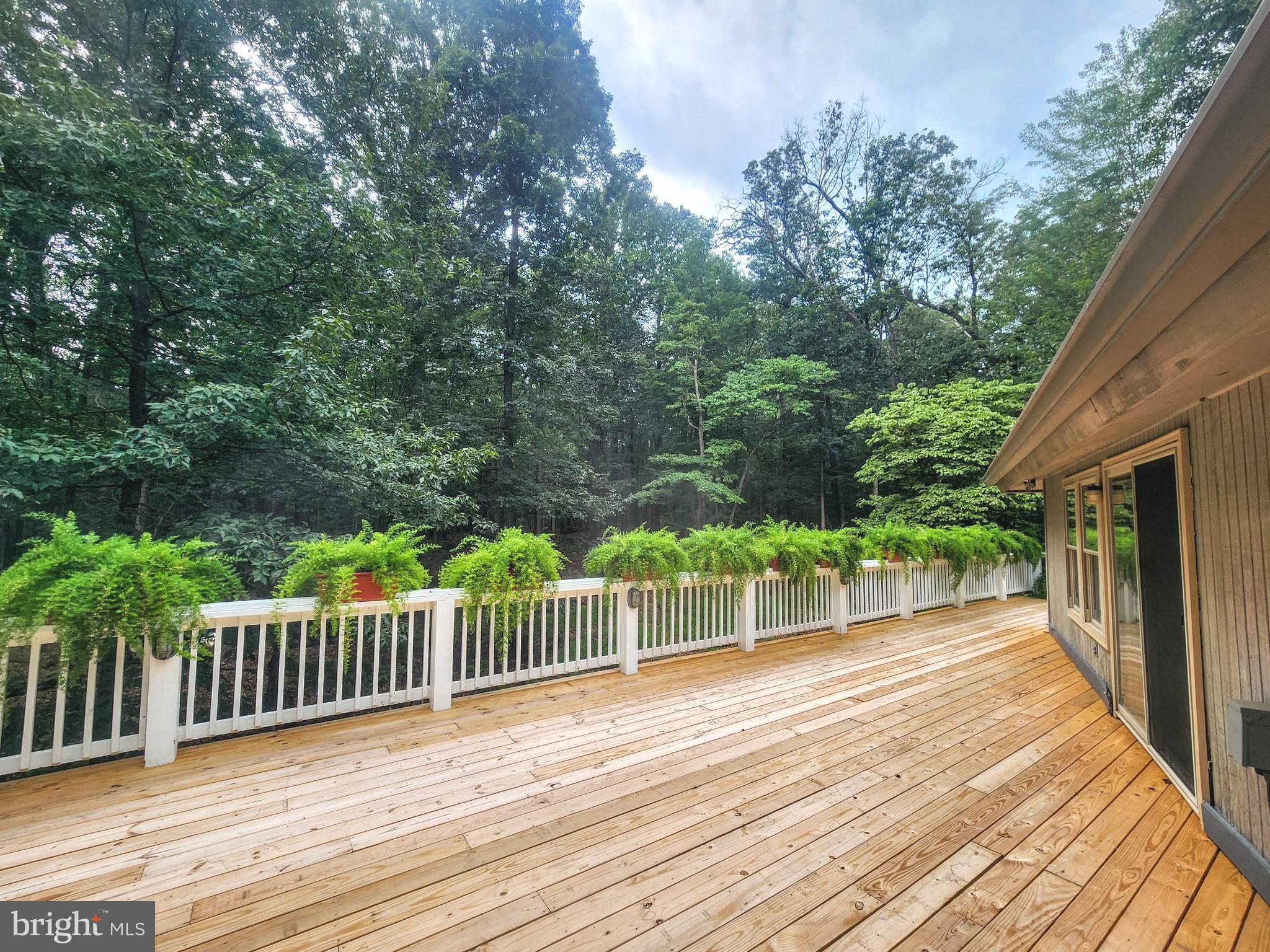 THE WOODS - Residential