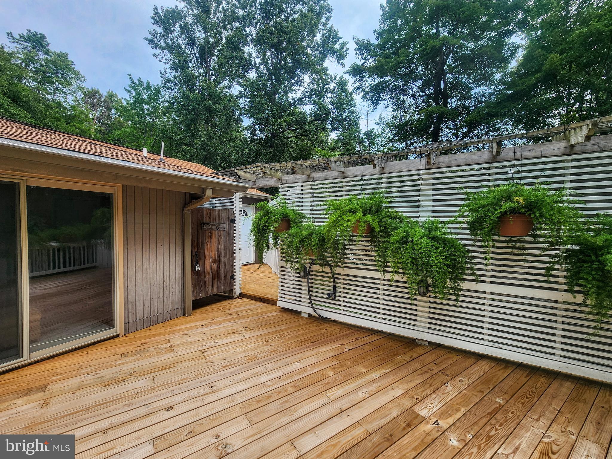 THE WOODS - Residential