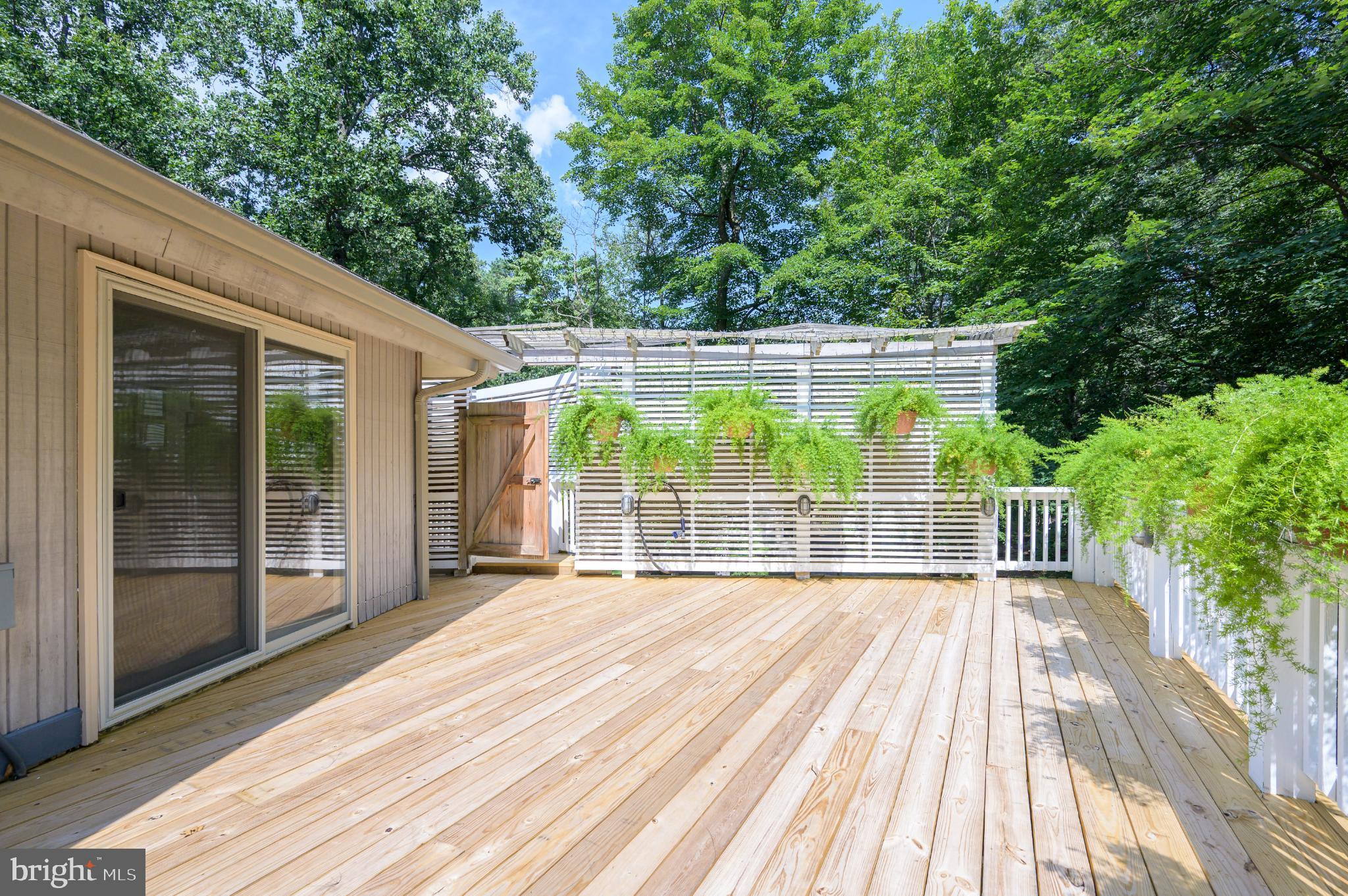 THE WOODS - Residential