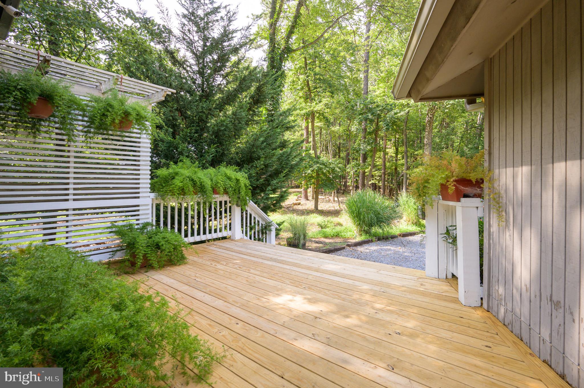 THE WOODS - Residential