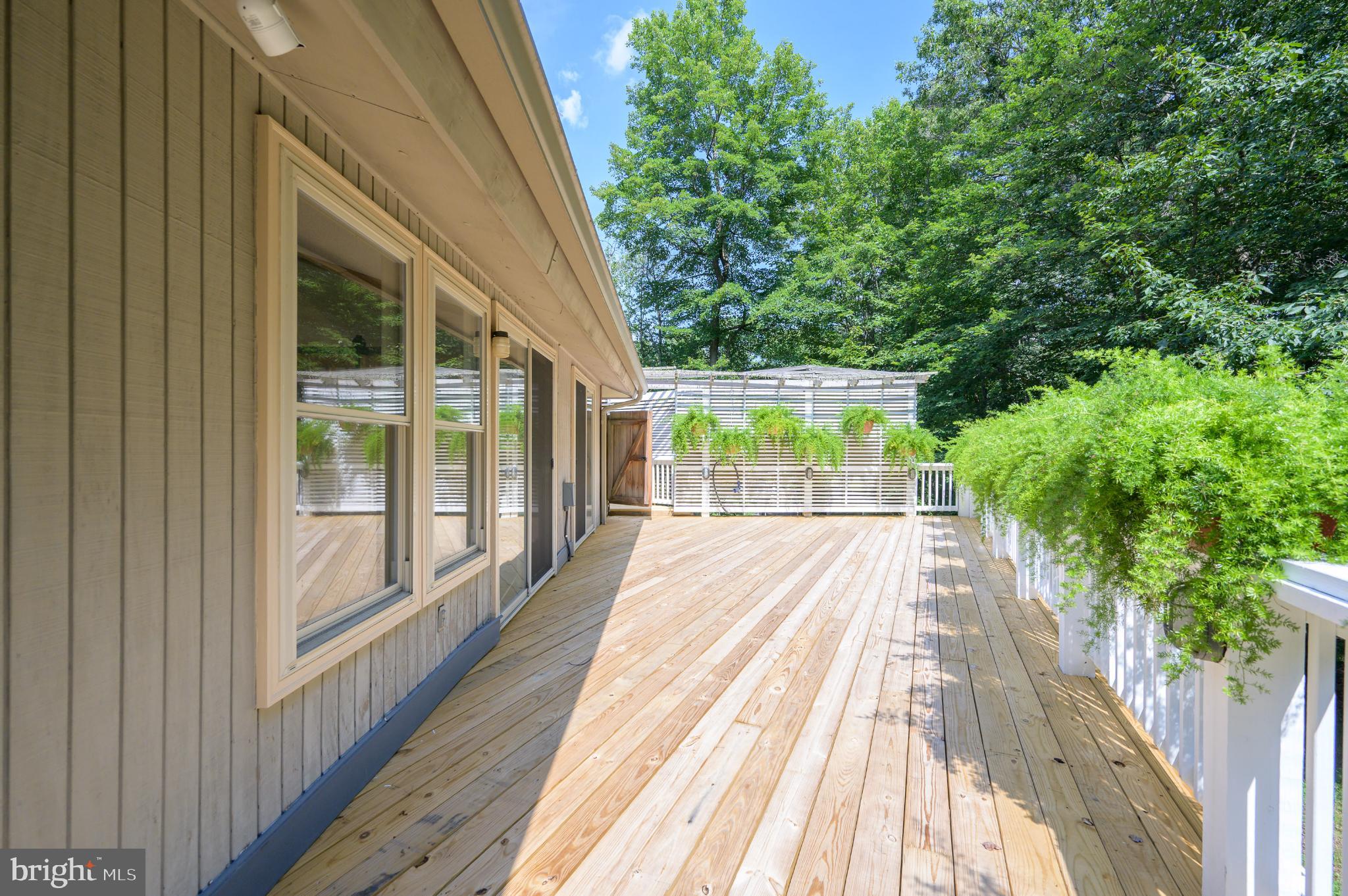 THE WOODS - Residential