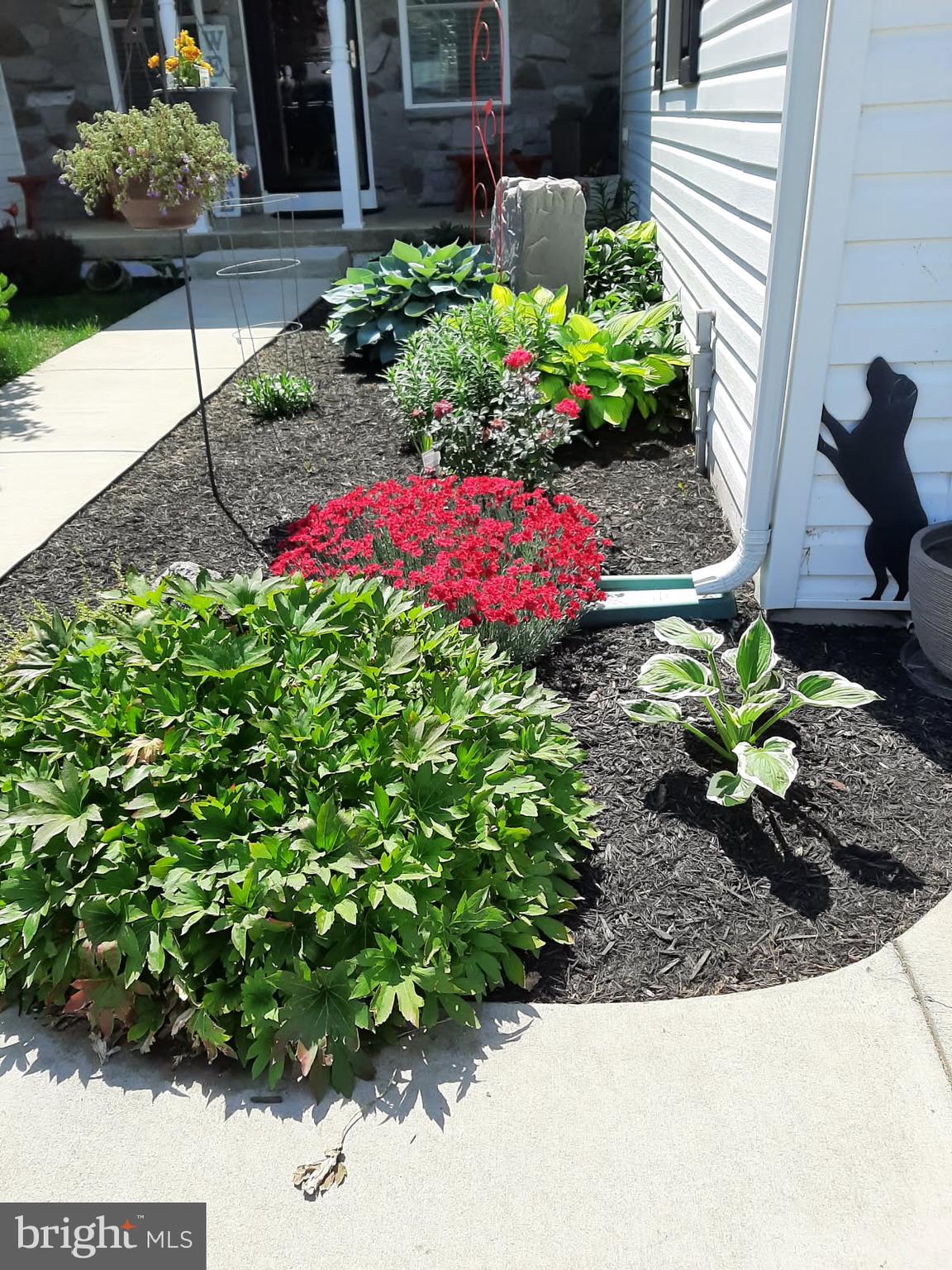 MASON FARMS - Residential