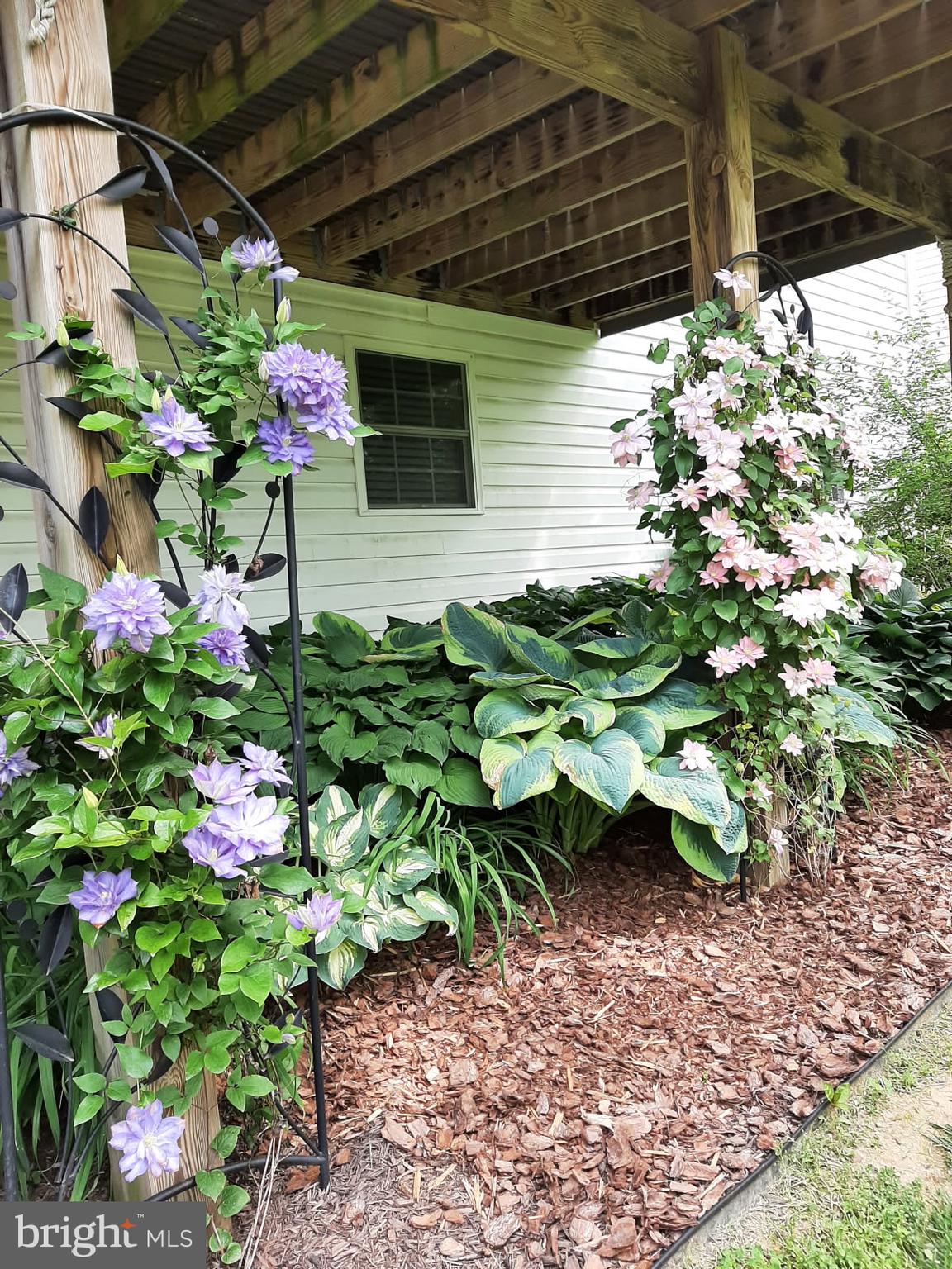 MASON FARMS - Residential