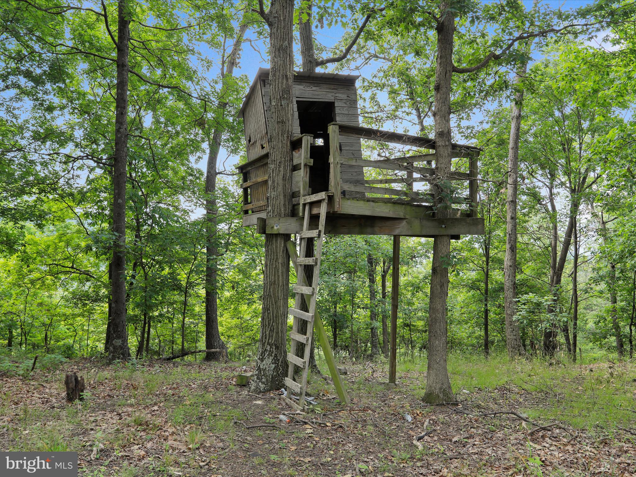 BLUFFS ON THE POTOMAC - Residential