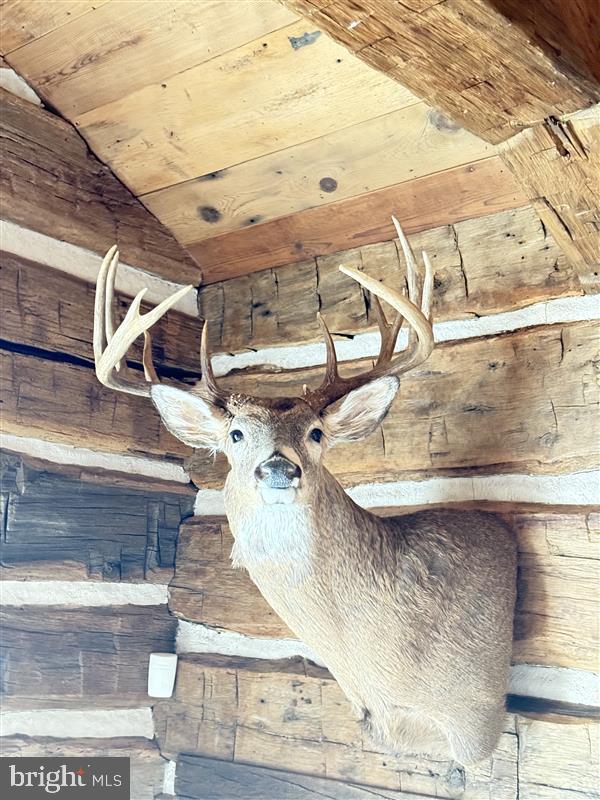 416+/- ACRES SHAFFER MOUNTAIN RD