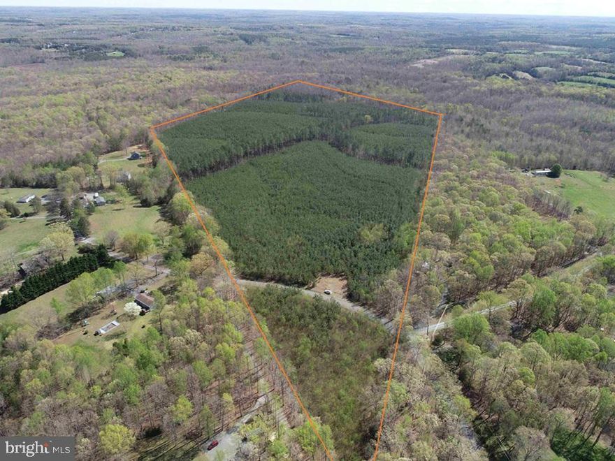 The Bivins Tract is 76.6 acres located on Bluebird Lane approximately 6.5 miles from Palmyra and 19 miles from Charlottsville. This tract lays slightly rolling with a small creek going through the property. There are 68 acres of 2012 planted Loblolly pine along with 8.6 acres of mature mix pine and hardwood. The Bivins Tract is an excellent opportunity to own a great timber investment and or a small estate parcel.