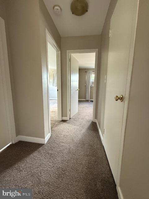 DOMINION TERRACE - Residential Lease