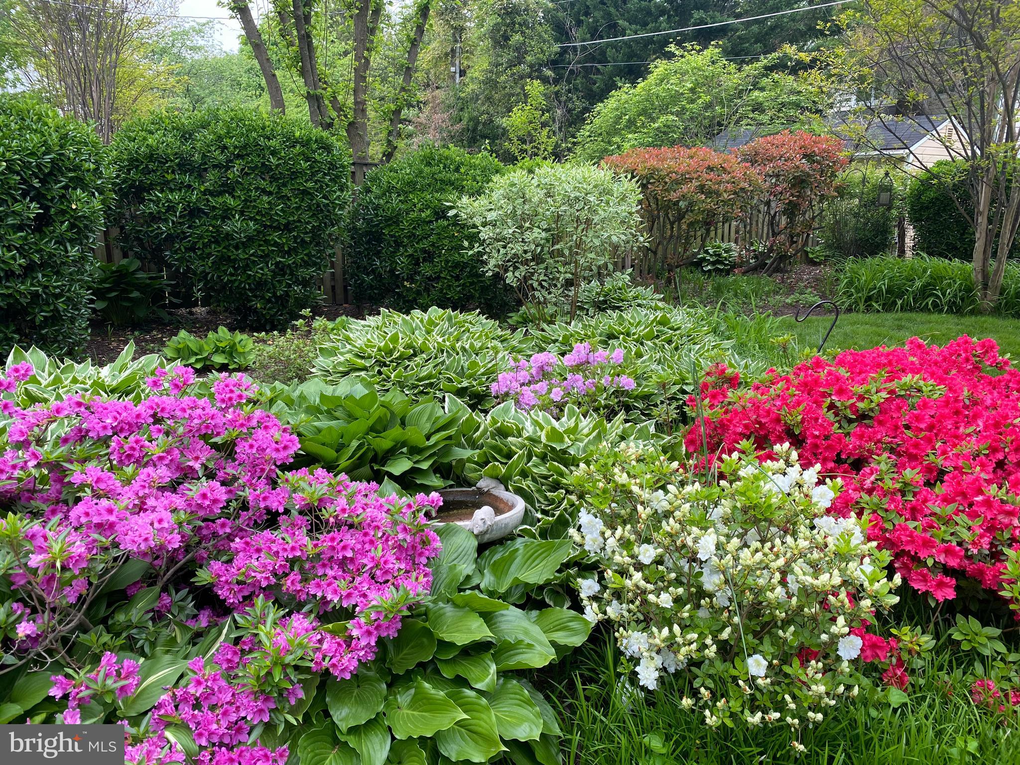 BEVERLY HILLS - Residential