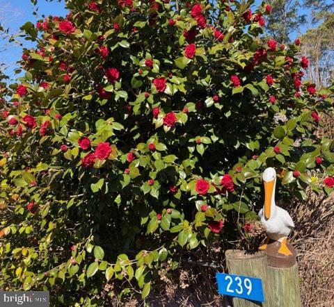 CHESAPEAKE BEACH ESTATES - Residential