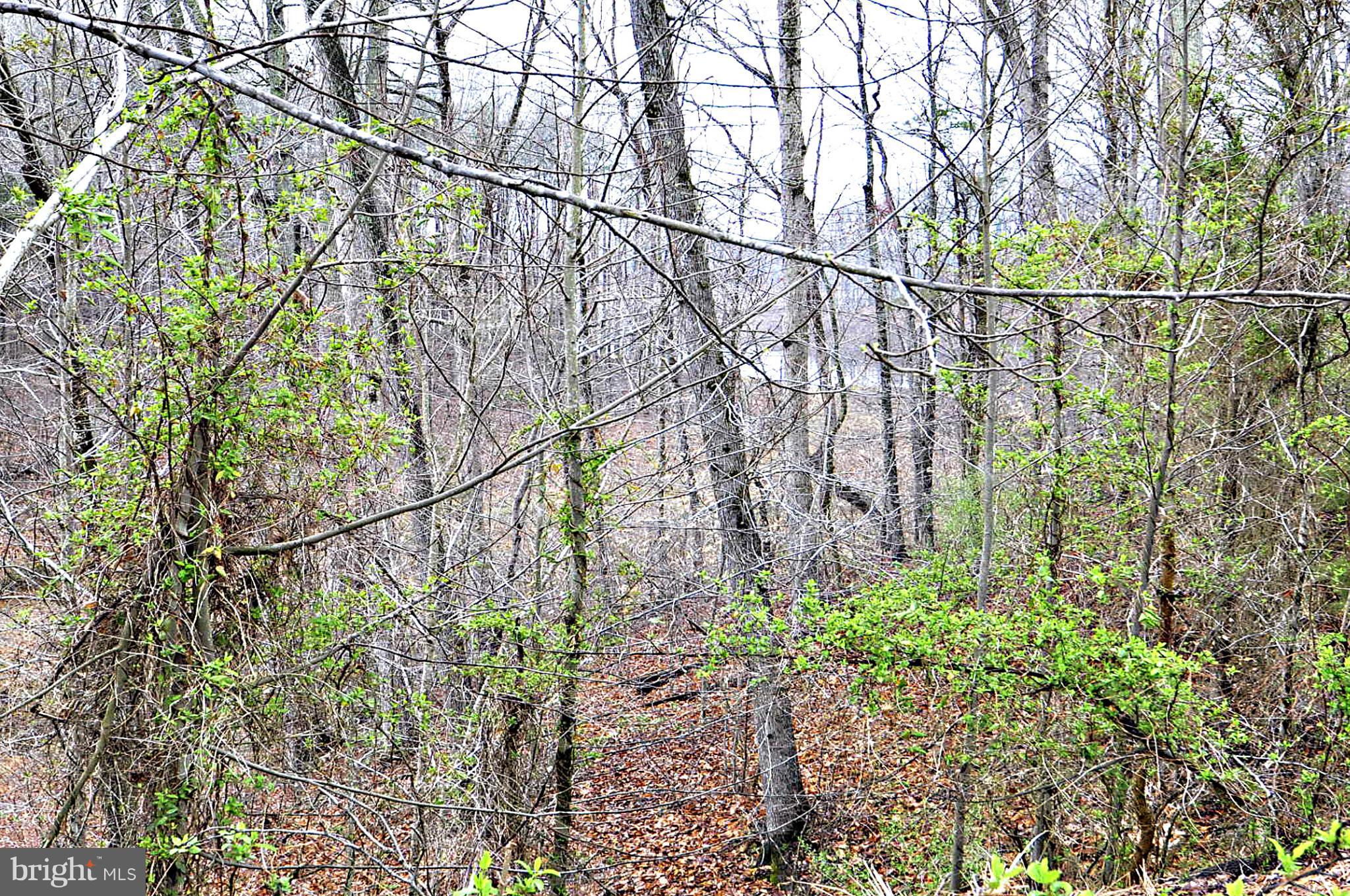 STAFFORD LAKES VILLAGE - Residential