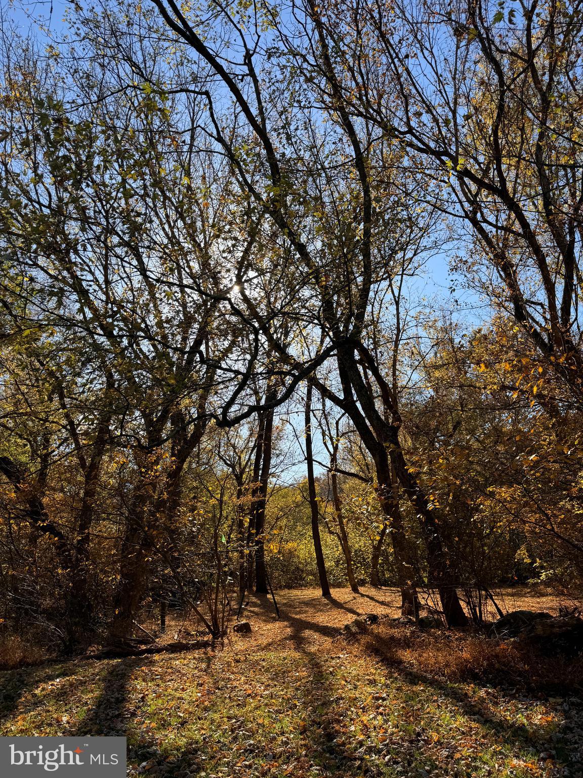 STEAMBOAT RUN ESTATES - Residential